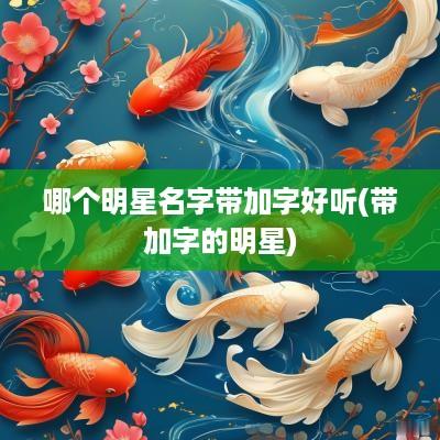 哪个明星名字带加字好听(带加字的明星)