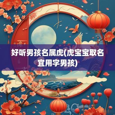 好听男孩名属虎(虎宝宝取名宜用字男孩)