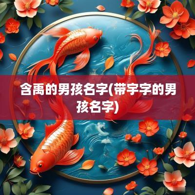 含禹的男孩名字(带宇字的男孩名字)