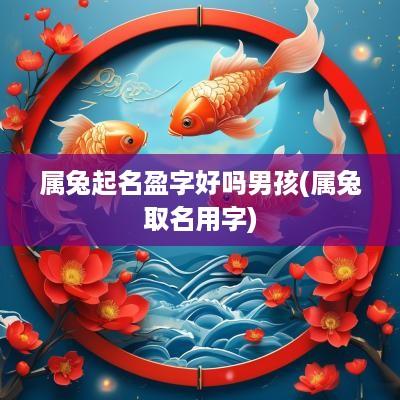 属兔起名盈字好吗男孩(属兔取名用字)