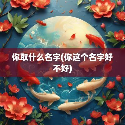 你取什么名字(你这个名字好不好)