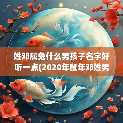 姓邓属兔什么男孩子名字好听一点(2025年蛇年邓姓男宝宝名字)