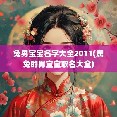 兔男宝宝名字大全2011(属兔的男宝宝取名大全)