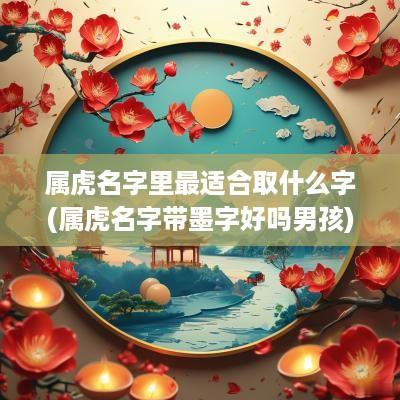 属虎名字里最适合取什么字(属虎名字带墨字好吗男孩)