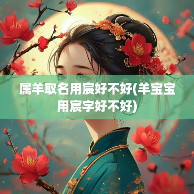 属羊取名用宸好不好(羊宝宝用宸字好不好)