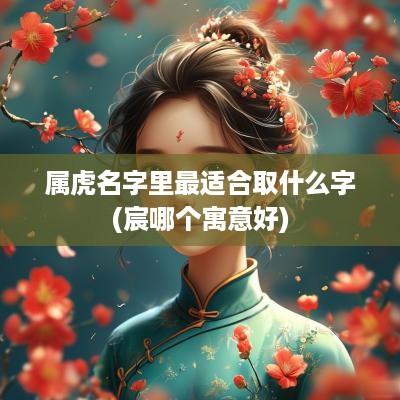属虎名字里最适合取什么字(宸哪个寓意好)