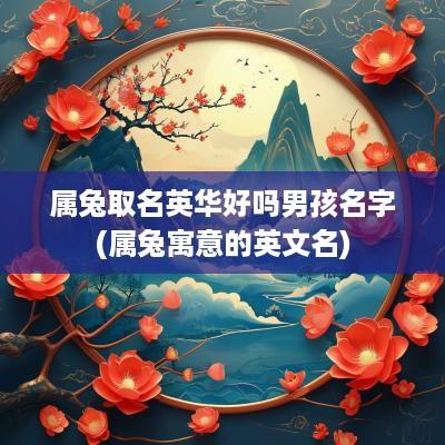 属兔取名英华好吗男孩名字(属兔寓意的英文名)
