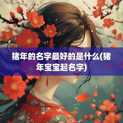 猪年的名字最好的是什么(猪年宝宝起名字)