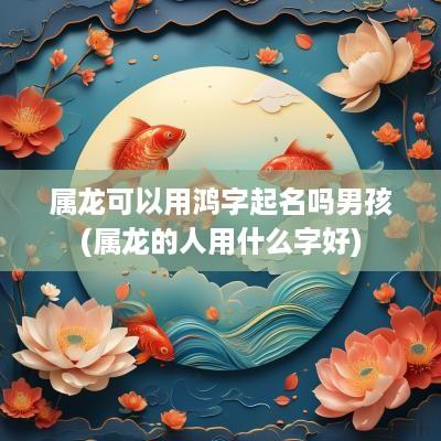 属龙可以用鸿字起名吗男孩(属龙的人用什么字好)