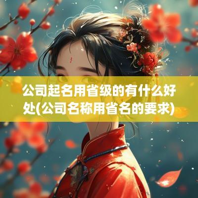 公司起名用省级的有什么好处(公司名称用省名的要求)