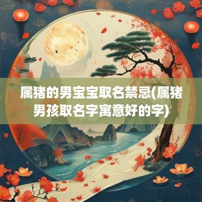 属猪的男宝宝取名禁忌(属猪男孩取名字寓意好的字)