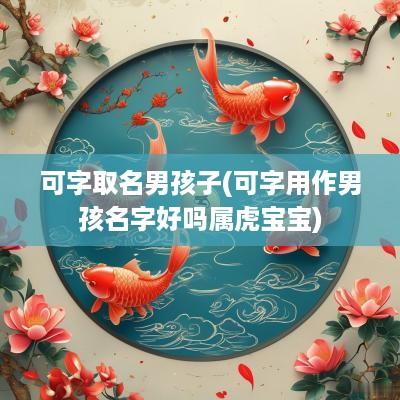 可字取名男孩子(可字用作男孩名字好吗属虎宝宝)