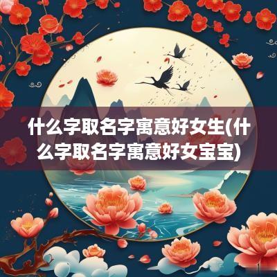 什么字取名字寓意好女生(什么字取名字寓意好女宝宝)