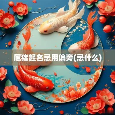 属猪起名忌用偏旁(忌什么)