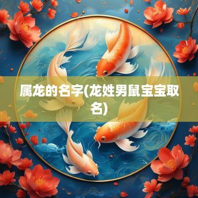 属龙的名字(龙姓男鼠宝宝取名)