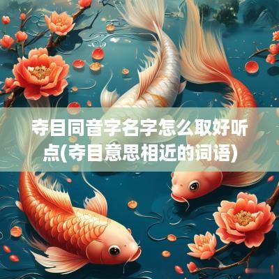 夺目同音字名字怎么取好听点(夺目意思相近的词语)