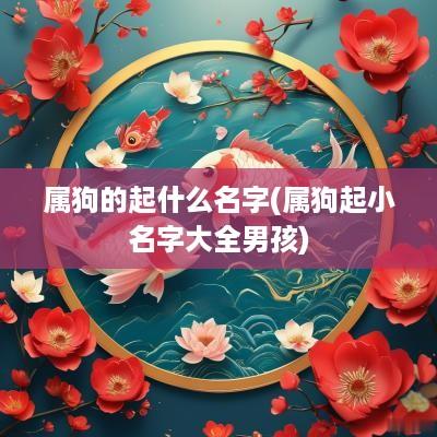 属狗的起什么名字(属狗起小名字大全男孩)