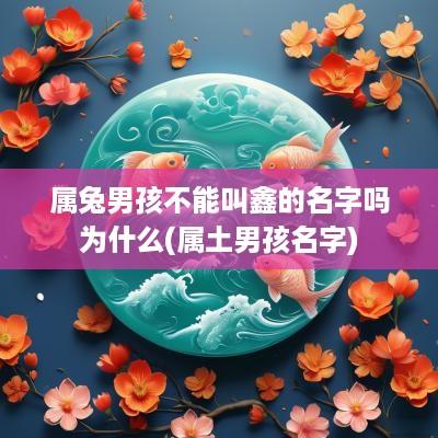 属兔男孩不能叫鑫的名字吗为什么(属土男孩名字)
