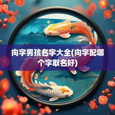 向字男孩名字大全(向字配哪个字取名好)
