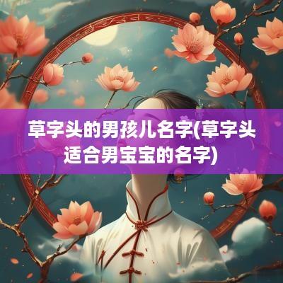 草字头的男孩儿名字(草字头适合男宝宝的名字)