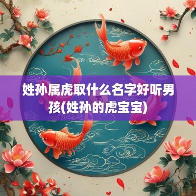 姓孙属虎取什么名字好听男孩(姓孙的虎宝宝)