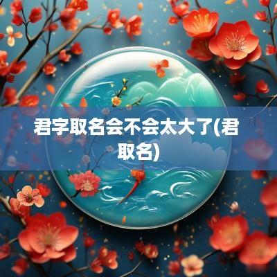君字取名会不会太大了(君 取名)