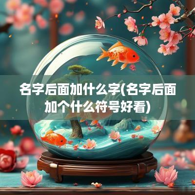 名字后面加什么字(名字后面加个什么符号好看)