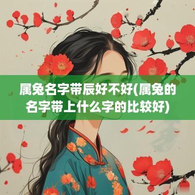 属兔名字带辰好不好(属兔的名字带上什么字的比较好)