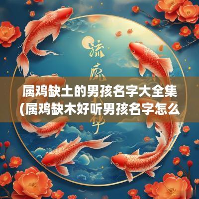 属鸡缺土的男孩名字大全集(属鸡缺木好听男孩名字怎么取)
