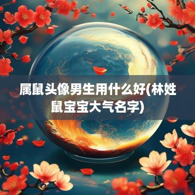 属鼠头像男生用什么好(林姓鼠宝宝大气名字)