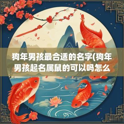 狗年男孩最合适的名字(狗年男孩起名属鼠的可以吗怎么起)