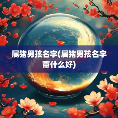 属猪男孩名字(属猪男孩名字带什么好)