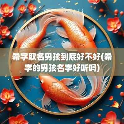 希字取名男孩到底好不好(希字的男孩名字好听吗)