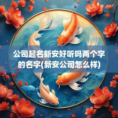 公司起名新安好听吗两个字的名字(新安公司怎么样)