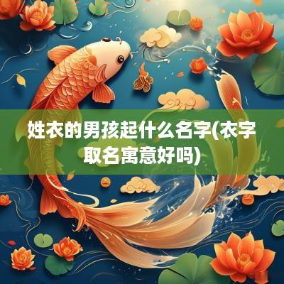 姓衣的男孩起什么名字(衣字取名寓意好吗)