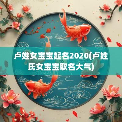卢姓女宝宝起名2025(卢姓氏女宝宝取名大气)
