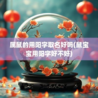 属鼠的用阳字取名好吗(鼠宝宝用阳字好不好)