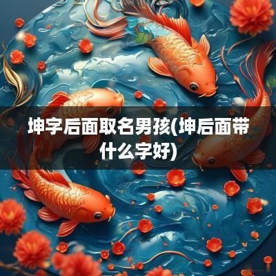 坤字后面取名男孩(坤后面带什么字好)