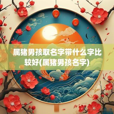 属猪男孩取名字带什么字比较好(属猪男孩名字)