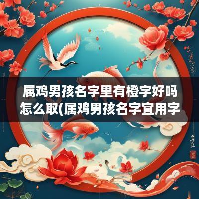 属鸡男孩名字里有橙字好吗怎么取(属鸡男孩名字宜用字)