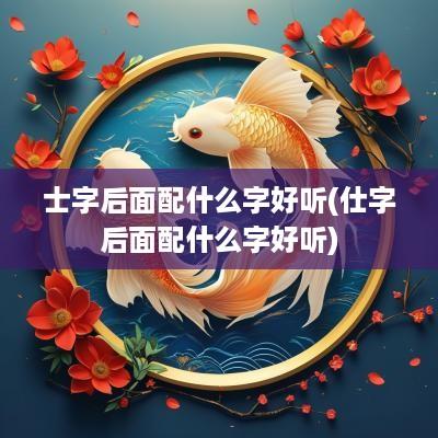 士字后面配什么字好听(仕字后面配什么字好听)