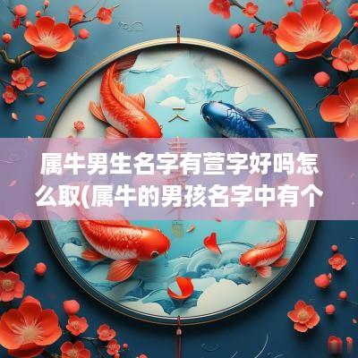 属牛男生名字有萱字好吗怎么取(属牛的男孩名字中有个轩字好不好)