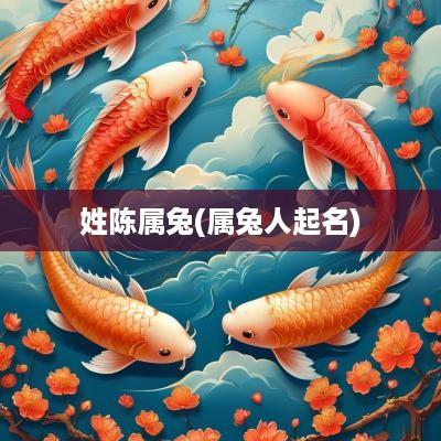 姓陈属兔(属兔人起名)