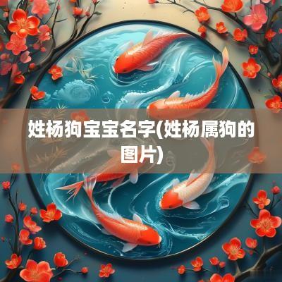 姓杨狗宝宝名字(姓杨属狗的图片)