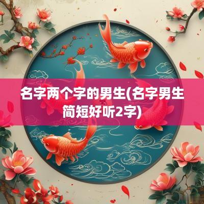 名字两个字的男生(名字男生简短好听2字)