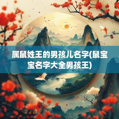 属鼠姓王的男孩儿名字(鼠宝宝名字大全男孩王)