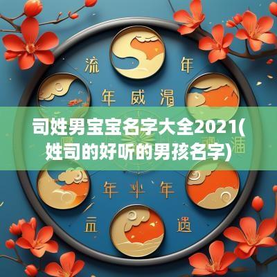 司姓男宝宝名字大全2025(姓司的好听的男孩名字)