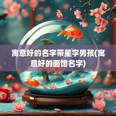 寓意好的名字带星字男孩(寓意好的面馆名字)