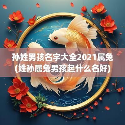 孙姓男孩名字大全2025属兔(姓孙属兔男孩起什么名好)