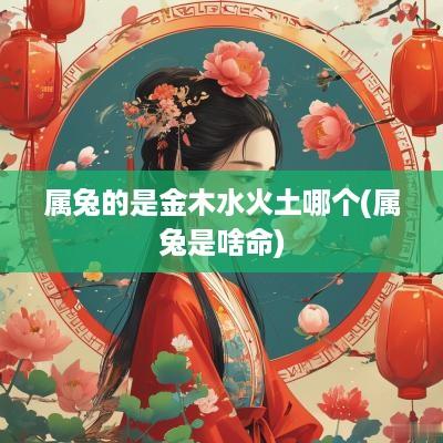 属兔的是金木水火土哪个(属兔是啥命)